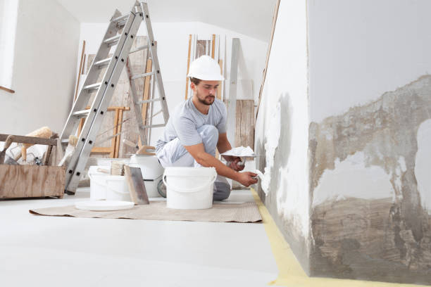 Best Mold Remediation for Healthcare Facilities  in Bourbonnais, IL