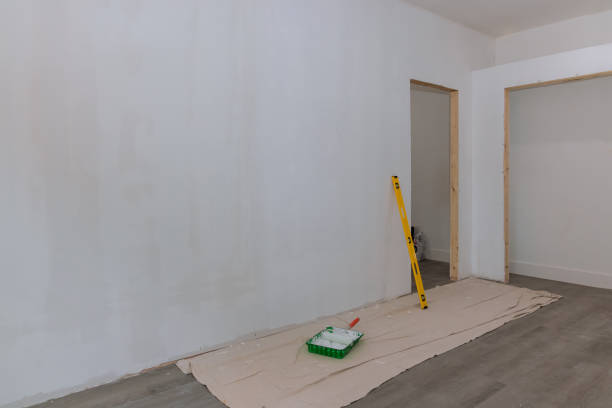  Bourbonnais, IL Mold Removal Pros