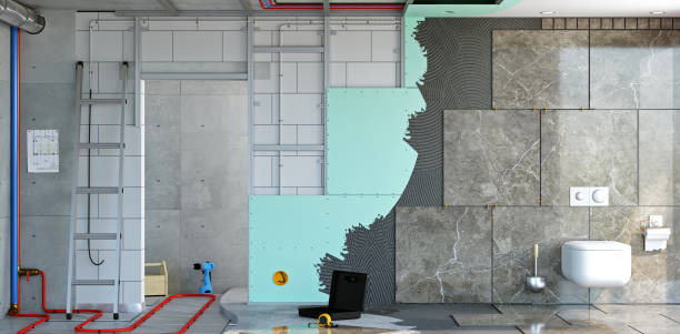 Best Mold Odor Removal Services  in Bourbonnais, IL