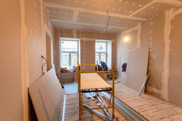 Best Biohazard Mold Removal  in Bourbonnais, IL